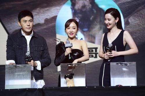 吃瓜娱乐合集在线观看,一键在线观看，畅享欢乐时光！